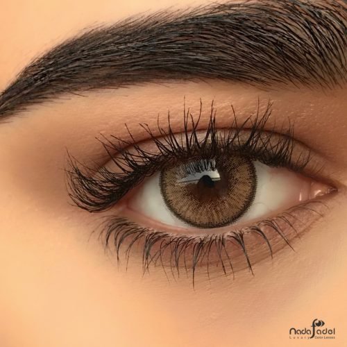 Nada Bee Contour Contact lenses